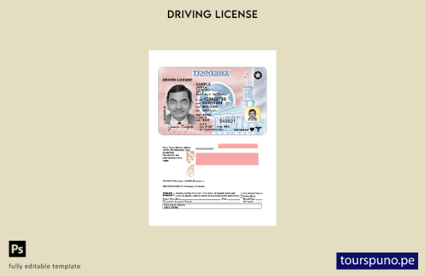 Listo para imprimir la plantilla actual del permiso de conducir de Tennessee de 